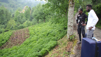 Futbolcu olmak için geldiler, çay topluyorlar