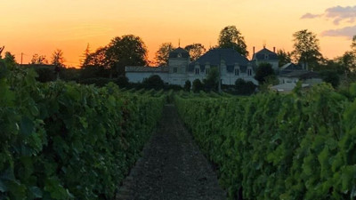 Dünyaca ünlü Türk ressam İsmail Acar'a hırsızlık şoku