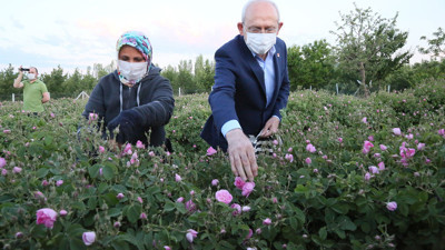 Kılıçdaroğlu gün doğumunda işçilerle gül topladı