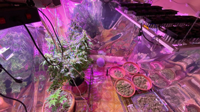 Bursa'da uyuşturucu operasyonu (27 Mayıs 2021)