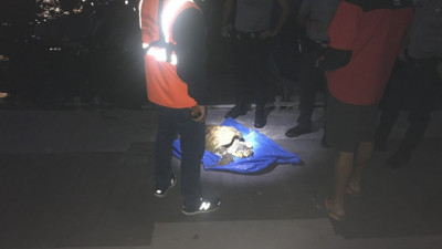 Yaralanan deniz kaplumbağası kurtarıldı