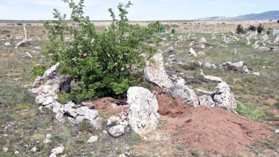 Emre'yi öldürüp iki mezarın arasına gömmüşler