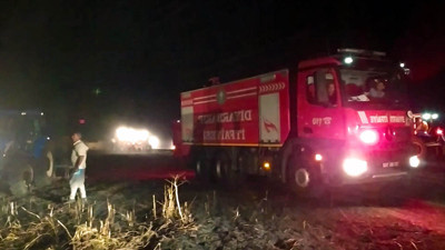 Diyarbakır'da 1500 dönümlük ekili alan kül oldu