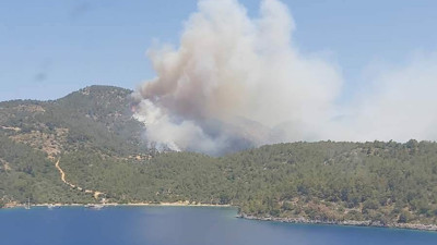 Milas Ormanları yanıyor