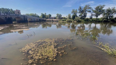 Tunca Nehri alarm veriyor (30 Mayıs 2021)