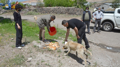 Kısıtlama günlerinde sokak hayvanları unutulmadı