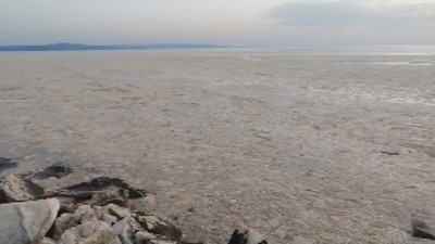 Marmara Denizi’nden en çarpıcı görüntüler geldi. Salya ölçüm cihazını bine engelledi