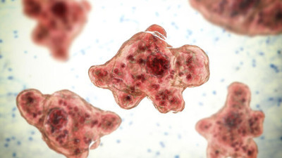 Yüksek ateşle başlıyor 3 günde öldürüyor