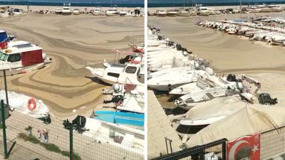 Salyalar bir yeri daha işgal etti. Marmara Denizi foseptik çukuruna döndü