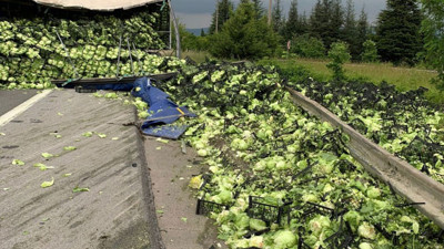 TEM Otoyolu marul tarlasına döndü