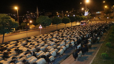 Hakkari'de National Geographic