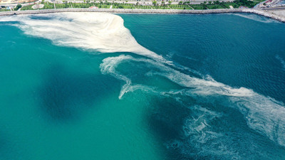 Marmara'daki deniz salyasının nedeni belli oldu. Uzmanların ortak fikri