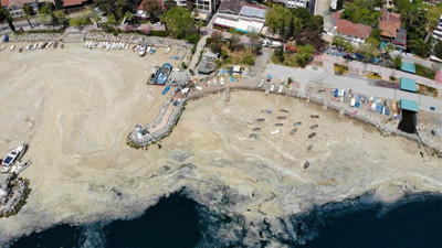 Deniz salyası ilk nerede görüldü ve nasıl oluşuyor