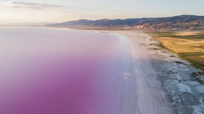 Tuz Gölü'ndeki pembeleşmenin nedeni belli oldu