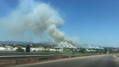 Antalya’nın Serik ilçesinde orman yangını