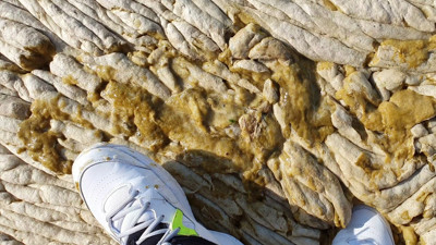 Müsilaj Marmara’da beton etkisi yaptı