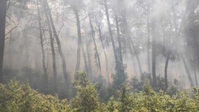 Karatepe Milli Parkı'nda orman yangını