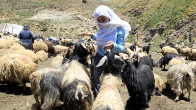 4 kadın devlet hibesi ile hayvancılığa başladı