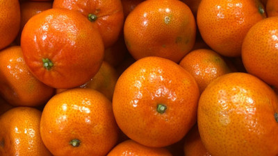 Mandalinada sarartma oyunu