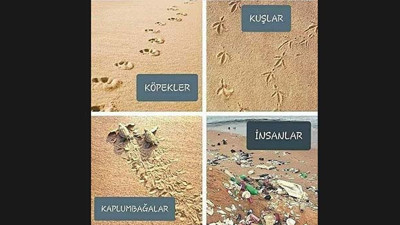 Sonunda ne olacağını biliyorsunuz. Yazıklar olsun insanoğlu