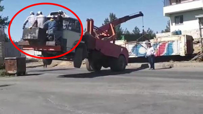 Koca vinci insanlar dengeye getirdi