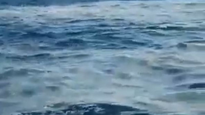 82 metre derinlikte görüntülendi. Bundan daha tehlikeli ne olabilir