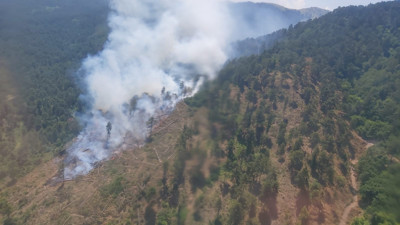Balıkesir'de orman yangını