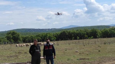 Jandarma kaybolan koyunları dronla buldu