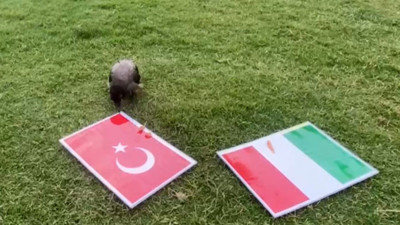 Karga Dido nereden bilebilirdi Şenol Hoca'nın böyle oynatacağını