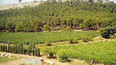 Bilirkişi, Fahrettin Koca'nın Medipol'üne Atatürk Orman Çiftliği için 'Yapamazsın' dedi