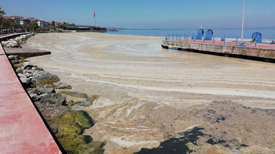İzmit Körfezi'nde deniz salyası felaketi böyle görüntülendi
