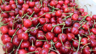 Bu hapı yutuyorsanız kiraz yerken dikkat edin