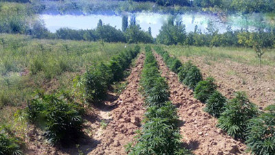 Malatya'da ele geçirildi. Tam 43 bin 500