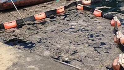 Müsilajı yok eden bakteri bulundu