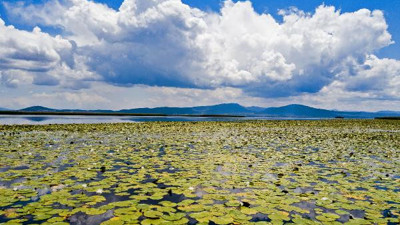 Nilüferleri koparmanın cezası 73 bin TL