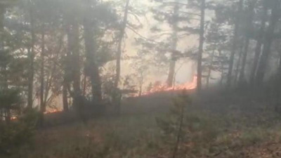 Kars'ta çıkan örtü yangınına ekiplerin müdahalesi sürüyor