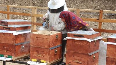 Anzer balında üretim sezonu açıldı yüzlerce sipariş var