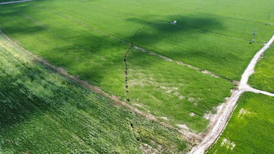 Afyonkarahisar'da yolda ve tarım arazisinde oluşan yarık 2 kilometreye ulaştı