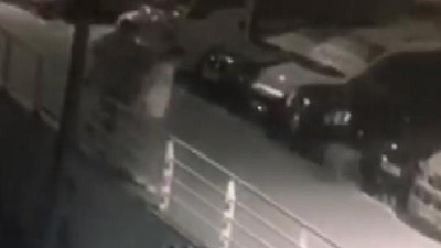 Oğluna havladığı için köpeğe ateş etti