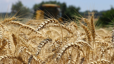 Tam 720 bin ithal edilecek