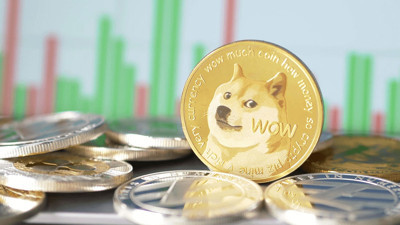 Dogecoin yatırımcıları şokta. Yüzde 70 değer kaybetti