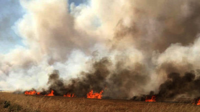 Gaziantep'te buğday tarlası küle döndü