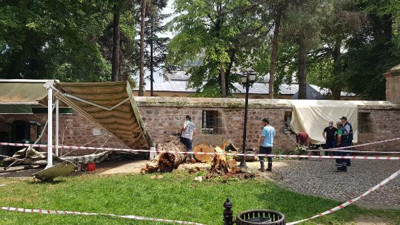 İzmit'te şiddetli rüzgardan ağaç devrildi