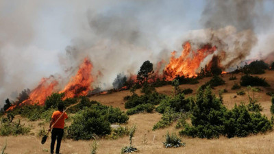 Bingöl'de orman yangını: 2 hafta arayla aynı yer alev alev