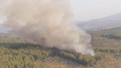 Muğla'da orman yangını (29 Haziran 2021)