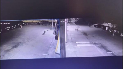 Sarıyer'de 8 aylık yavru köpeği zehirli saçmayla öldürdü