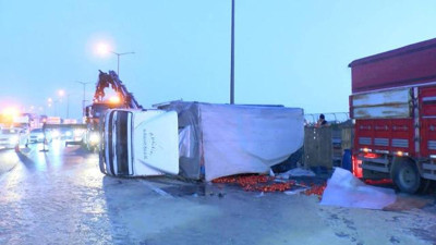 TEM’de domates yüklü kamyonet devrildi: 3 yaralı
