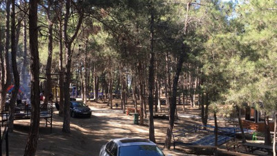 Yasaklar kalktı satışlar patladı