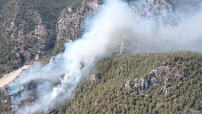 Muğla'da orman yangını