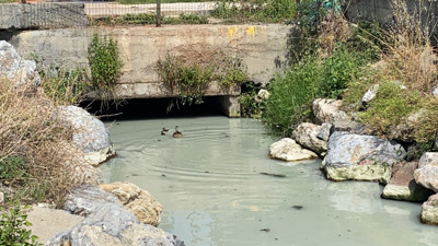 Müsilajla savaşan Marmara'ya Kadıköy'ün göbeğinde zehir akıyor